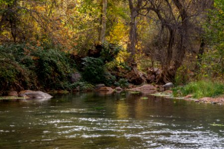 Fossil Springs (November 12, 2017)