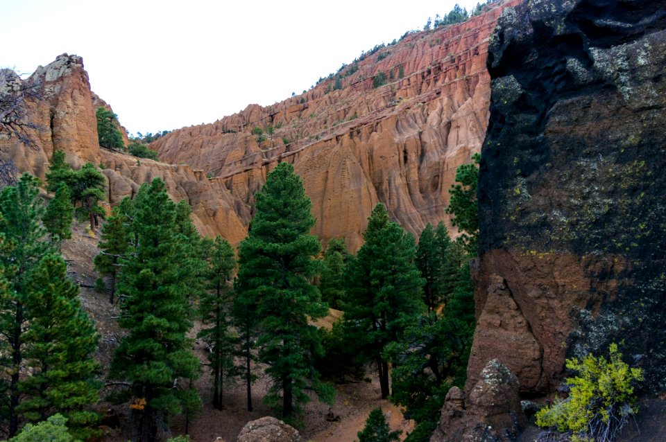 Red Mountain Trail No. 159