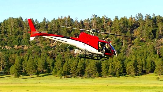 Camillo Fire 2015-06-22: Helitack Helicopter