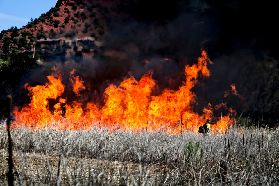 Wildland Fire Training at Crescent Moon