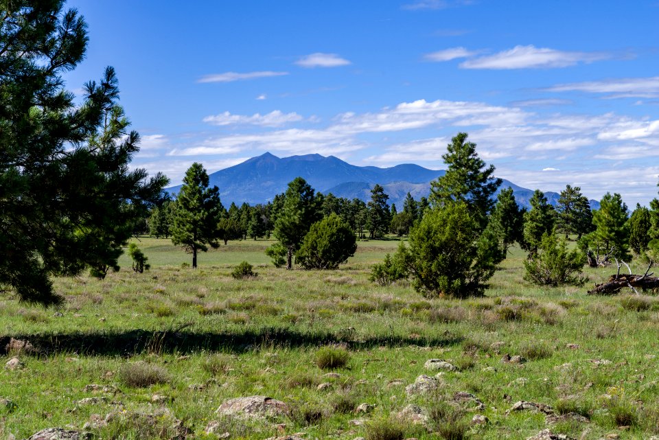 Arizona Trail: Anderson Mesa AZT-30