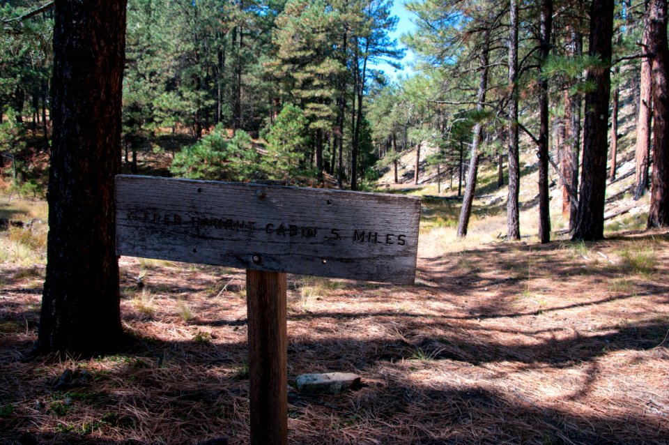 Spur Trail to Fred Haught's Cabin