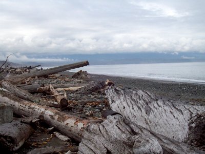 Dungeness Spit Preserve photo