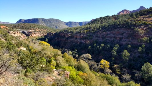 Fall Color in Oak Creek Canyon (November 8, 2017)