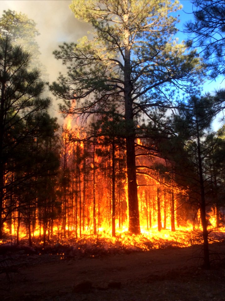 Jack Fire (June 7, 2016)