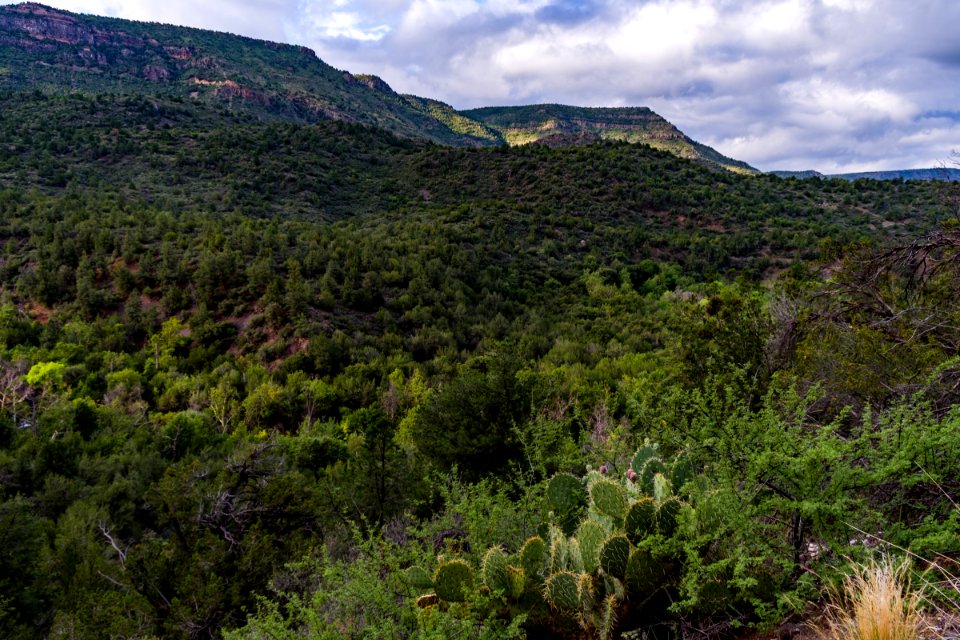 Flume Trail to the old Fossil Creek Dam