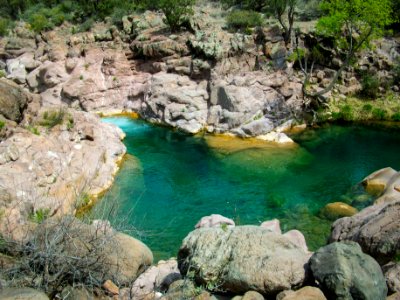 Fossil Creek