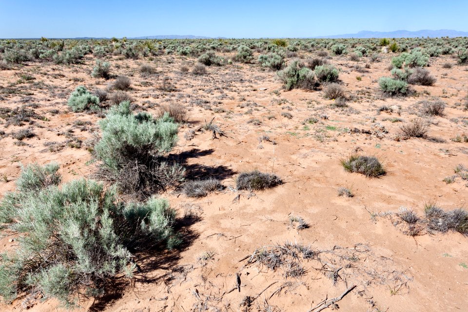 Northern Jornada del Muerto Plain