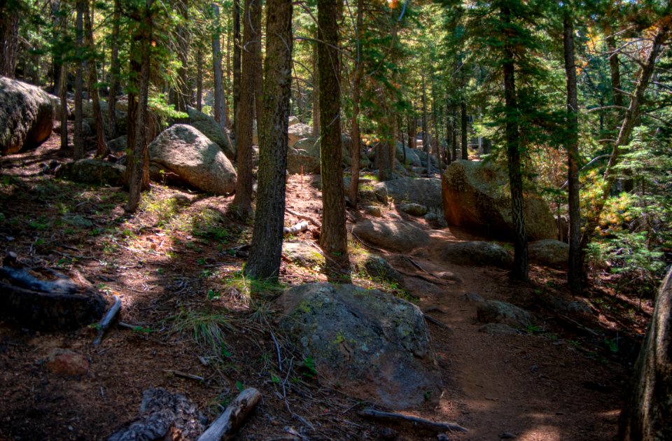 Sunset Trail No. 23