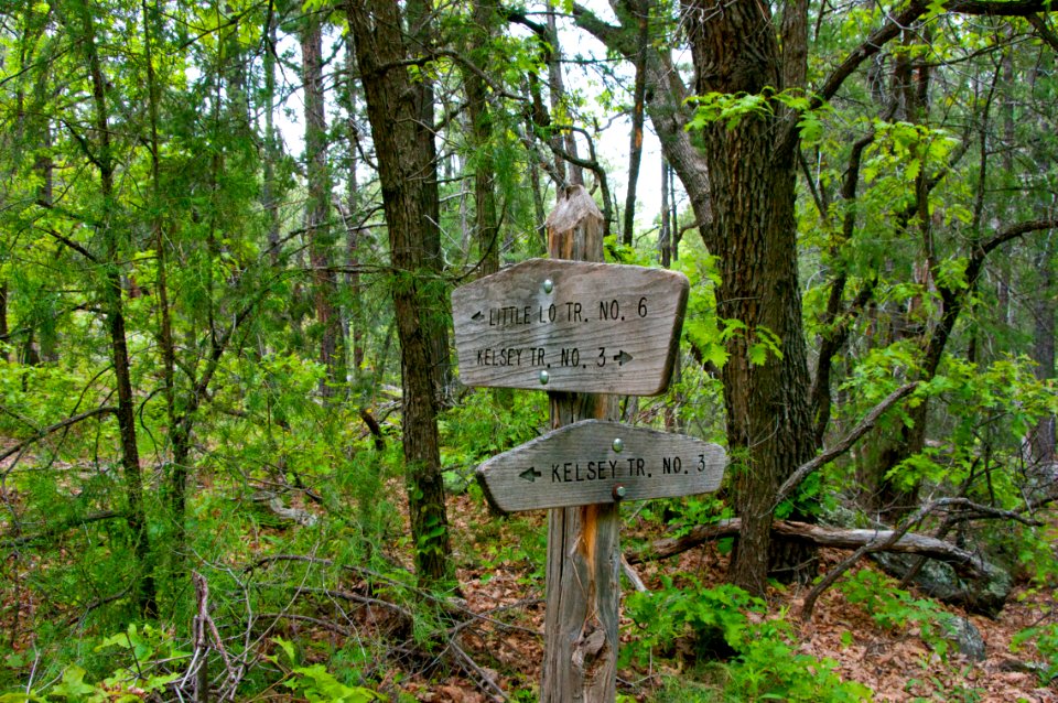 Little L.O. Trail No. 6