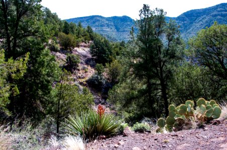 Flume Trail to Fossil Creek Dam