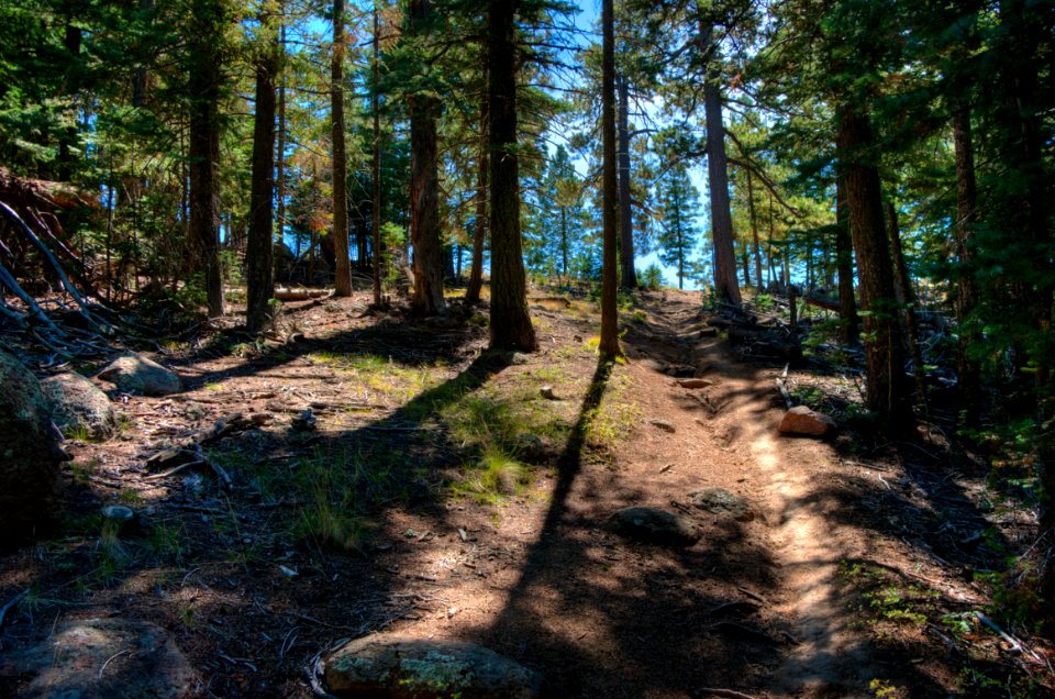 Sunset Trail No. 23