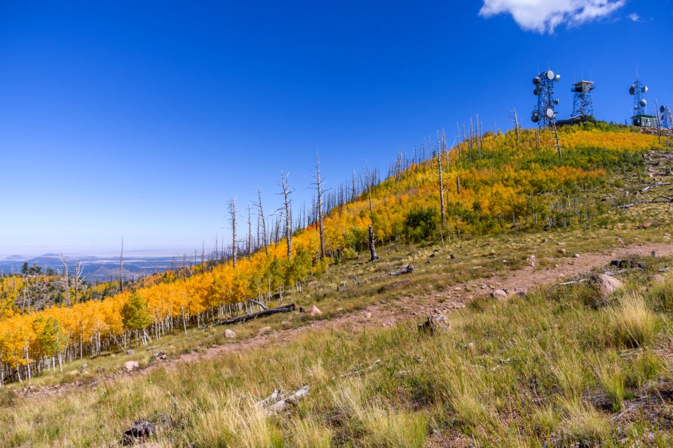 Elden Lookout Road photo