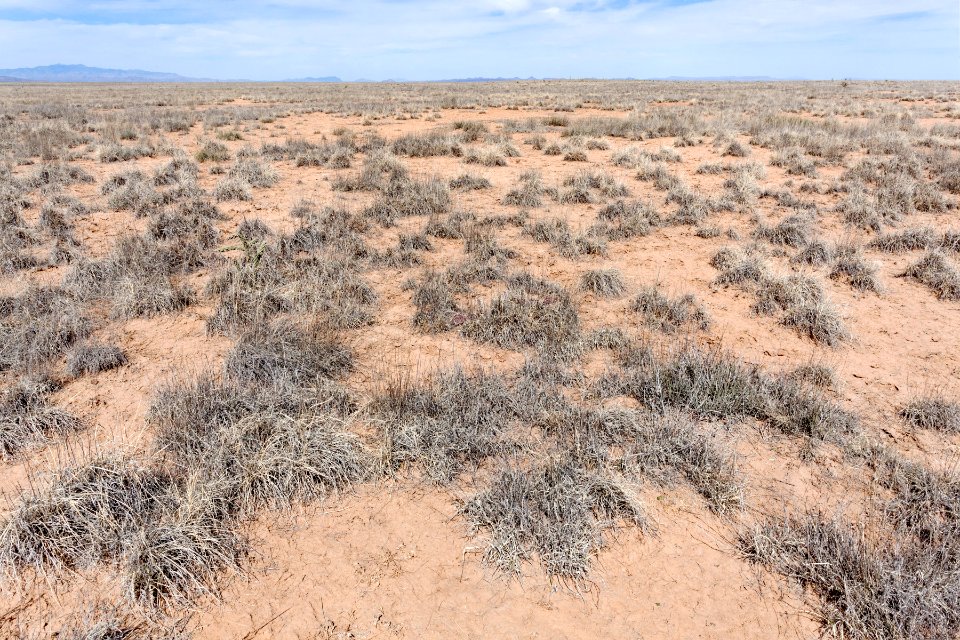 Jornada del Muerto Plain