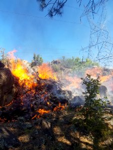 Snake Ridge Fire (May 27, 2017)