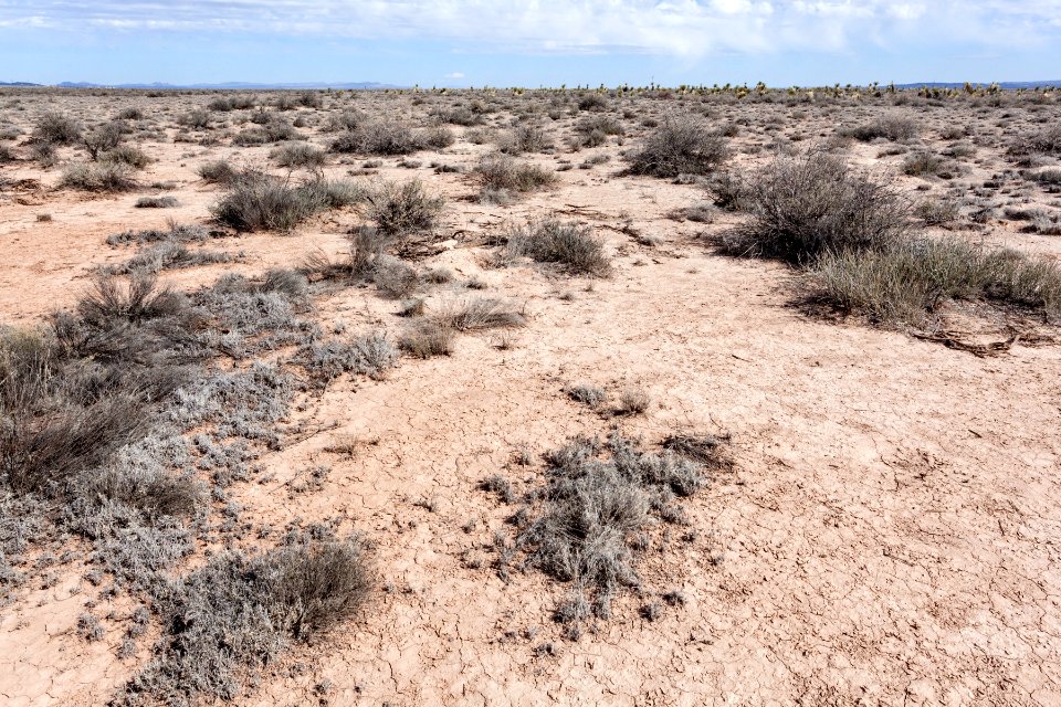 Jornada del Muerto Plain