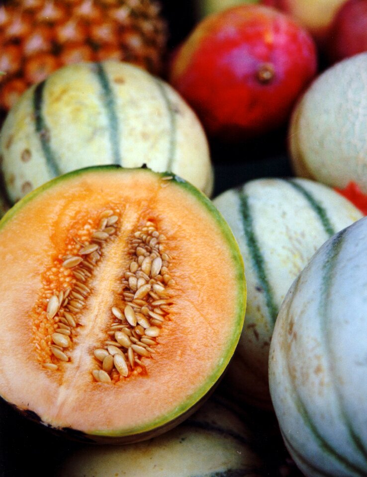 Still life healthy close up