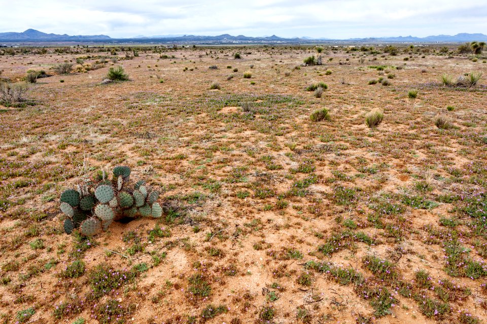 Northeast of Lordsburg