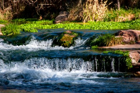 Fossil Springs