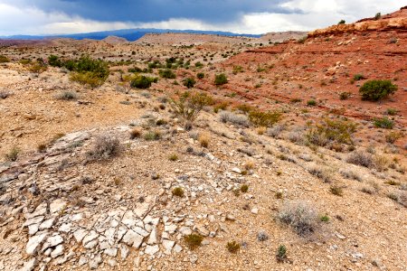 Near Arroyo Alamillo
