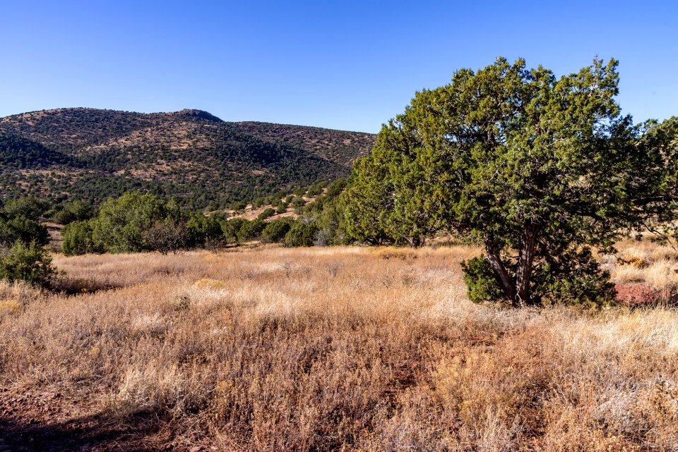 Turkey Creek Trail