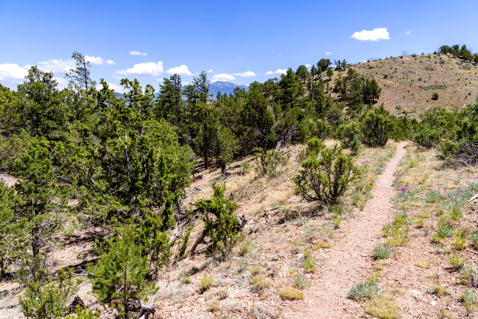Slate Mountain Trail