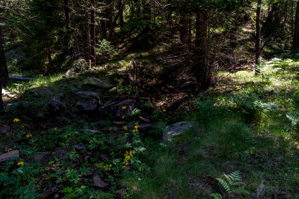 Barbershop Trail