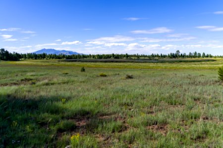 Arizona Trail: Anderson Mesa AZT-30