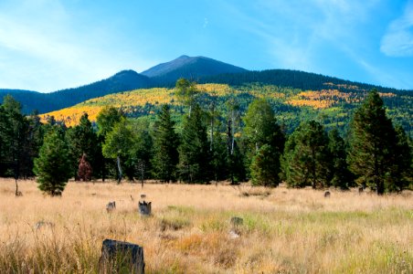 Around the Peaks Loop: FR 418