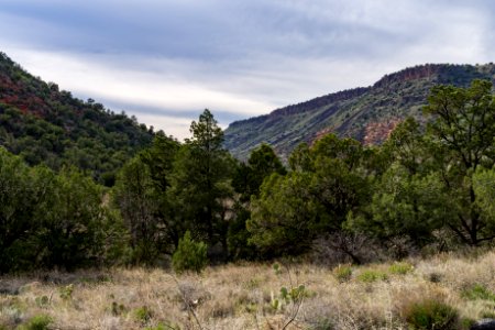 Bell Trail