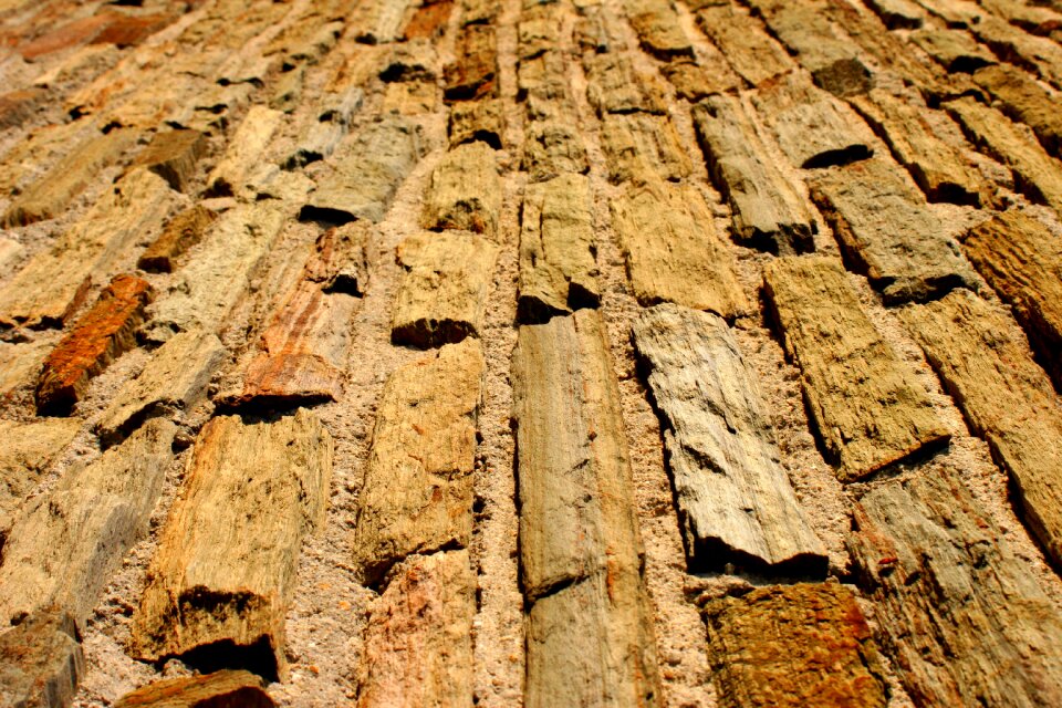 Texture bricks brick wall background