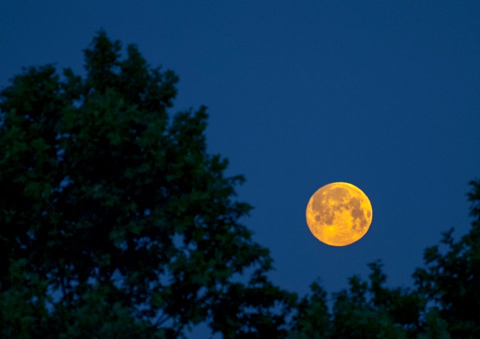 MM00A-1605 RSC ASTRO MOON D3000