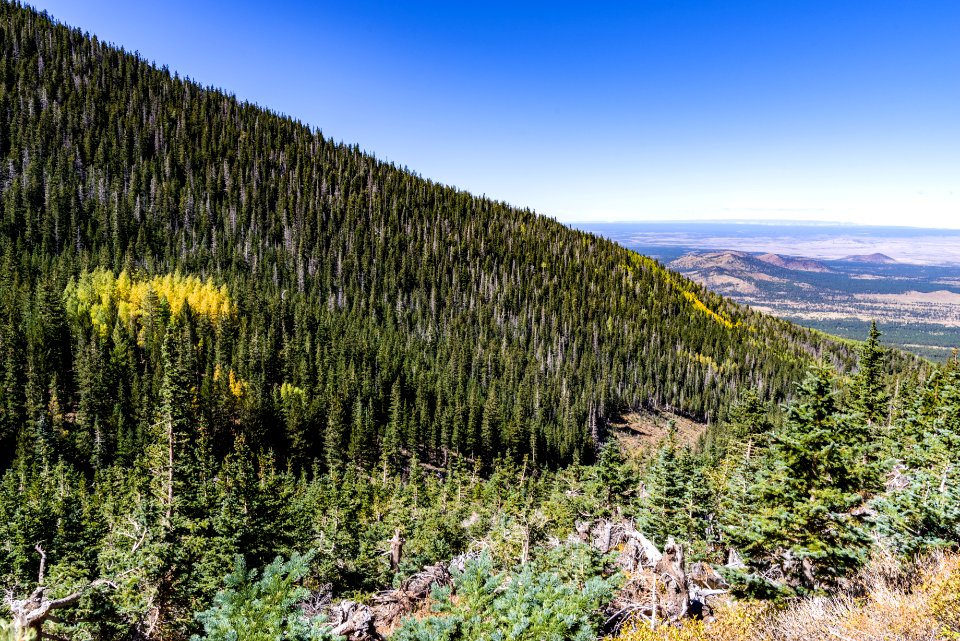 Waterline Trail: Abineau-Bear Jaw Loop
