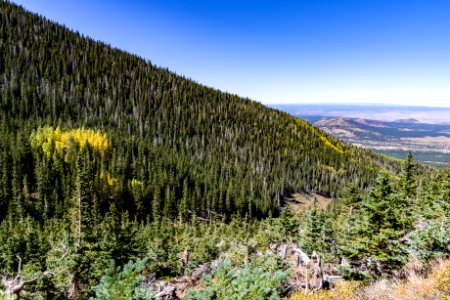 Waterline Trail: Abineau-Bear Jaw Loop