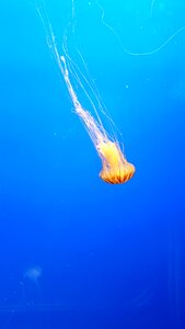 Water marine underwater