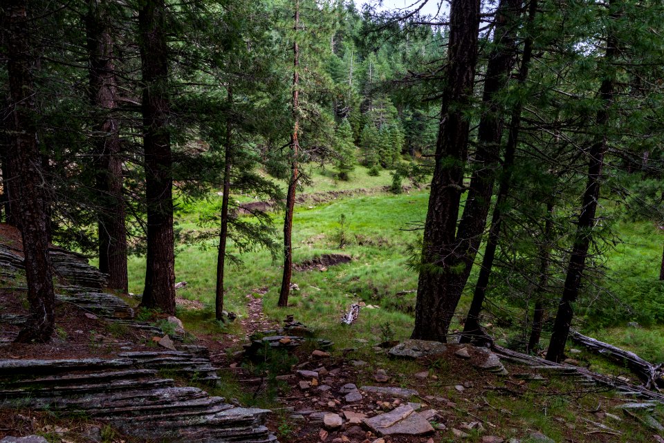 Barbershop Trail