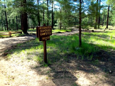 Pumphouse Wash (FR 237) Camping Loop 4 photo