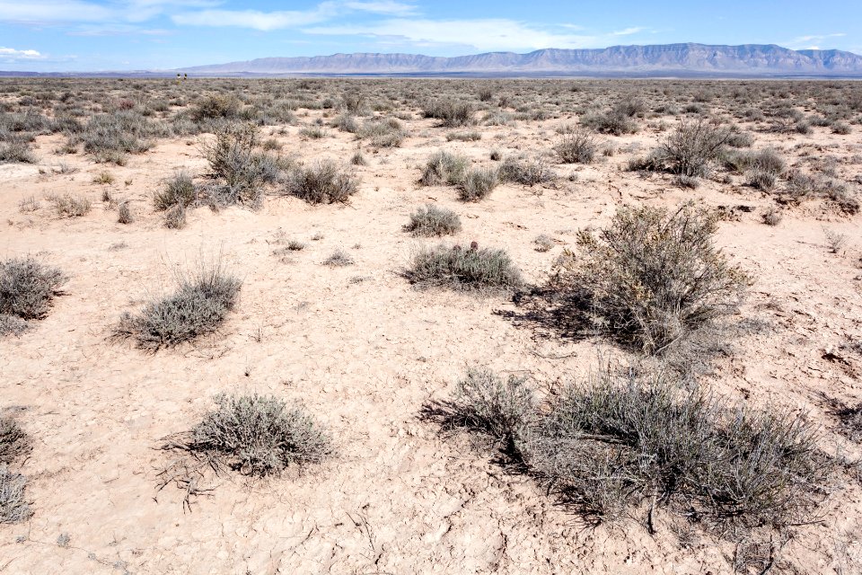 Jornada del Muerto Plain