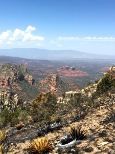 Point Fire (July 25, 2016)