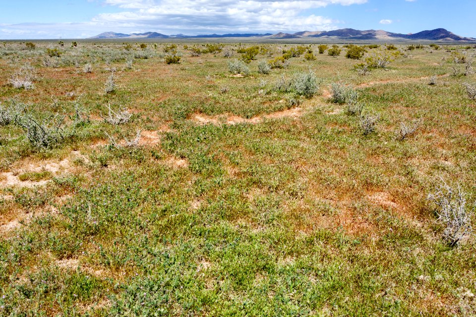 South-southeast of Apache Mountain