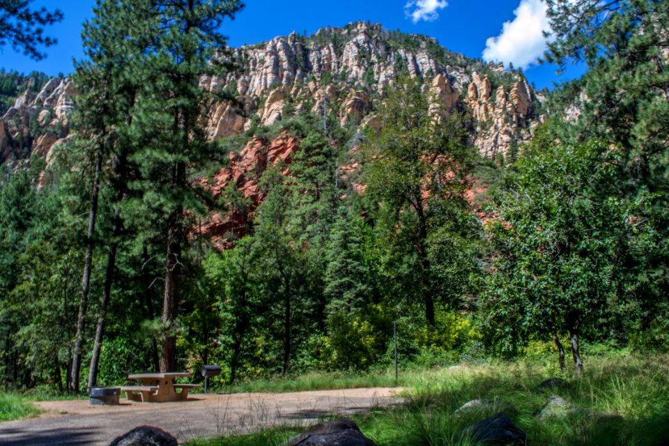 Pine Flat Campground