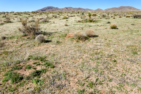 South of Apache Mountain