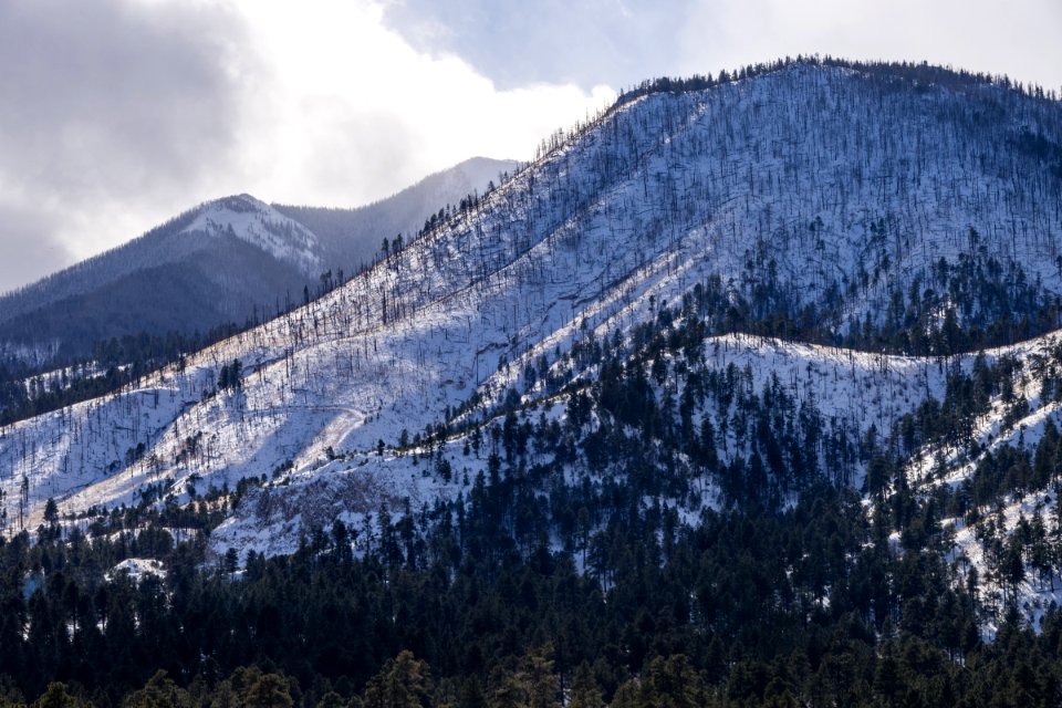 White Christmas