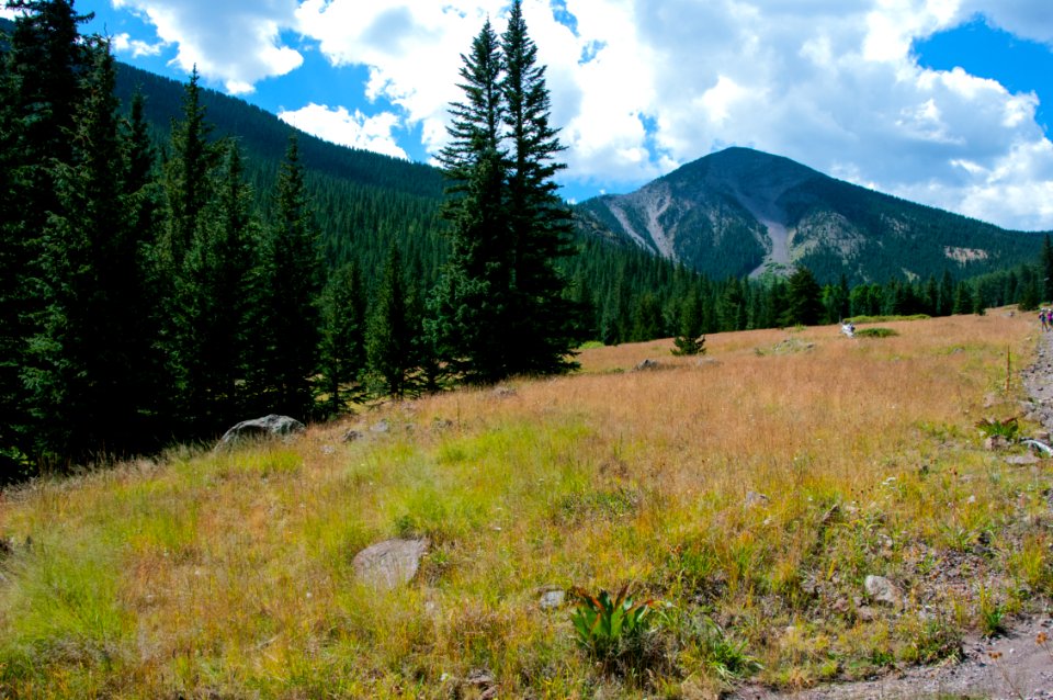 Inner Basin