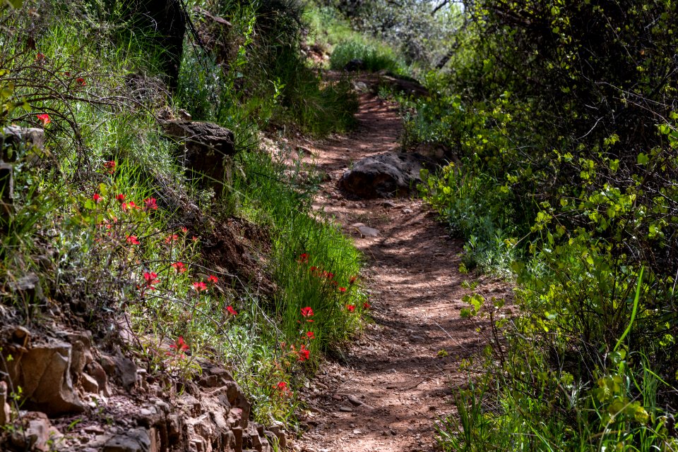 Parsons Trail No. 144