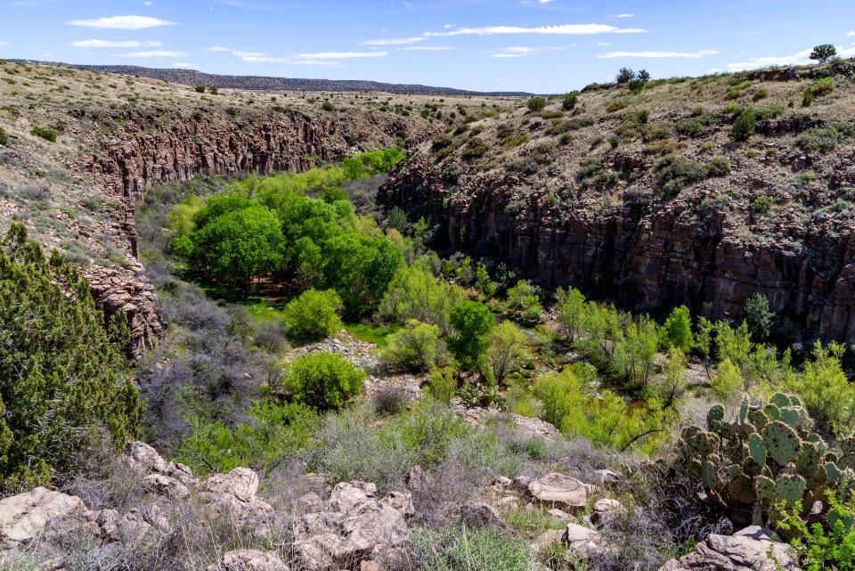 Sycamore Canyon Road: FR 9505
