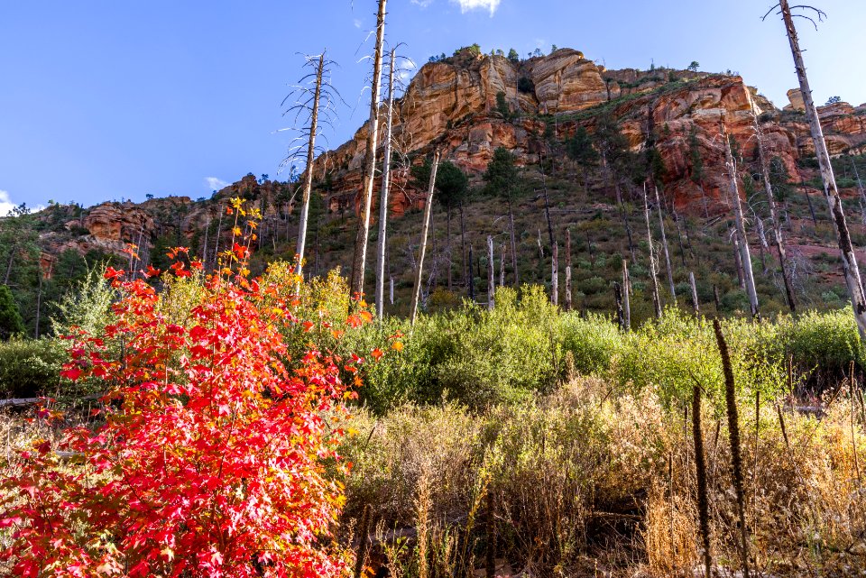 Vultee Arch Trail (November 1, 2017)