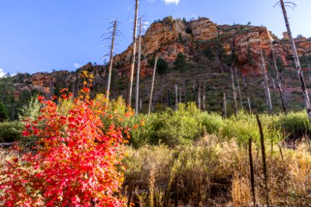 Vultee Arch Trail (November 1, 2017)