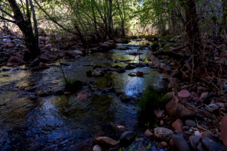 Parsons Trail No. 144
