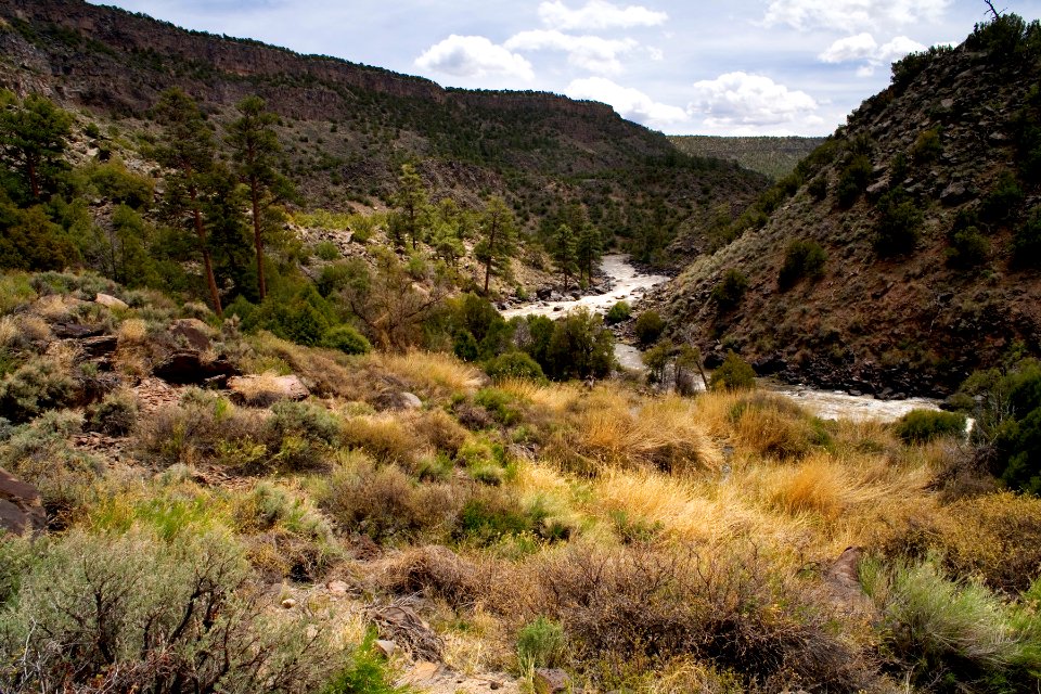 Big Arsenic Springs